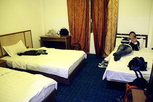 西藏客栈爆料视频播放大全,独家爆料视频大合集深度解析